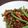 creo's cooksnap of when they made サヤインゲンとひき肉のガーリック炒め.