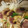 みょうなみょうが's cooksnap of when they made 簡単カツオのたたき.
