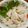 Andy♪'s cooksnap of when they made 鶏ささみナムル.