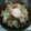 あさのいちこ's cooksnap of when they made 月見豚とろろ丼.