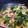 いちごクック's cooksnap of when they made 小松菜とスパムの炒め煮.