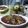 ふぁぶ's cooksnap of when they made 鶏肉とたまねぎのトマト煮込み.