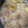 桃たんぽぽ's cooksnap of when they made あさりの炊き込みご飯.