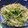 くまのつま_703's cooksnap of when they made 豆苗ともやしのナムル.