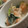 MULA's cooksnap of when they made 牛乳で簡単！鮭とほうれん草のクリーム煮.