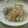 ポニーリボン's cooksnap of when they made イカともやしの塩麹炒め.