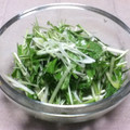 たんしほ's cooksnap of when they made ☆簡単☆水菜とネギの褒められサラダ☆.