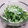 たんしほ's cooksnap of when they made ☆簡単☆水菜とネギの褒められサラダ☆.