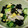 マミヤハル's cooksnap of when they made きくらげと豚肉の炒め物（木須肉）.