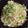 ゆうきちゃんだよ's cooksnap of when they made ひとりランチ おうちで担々麺.