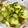 さリー！'s cooksnap of when they made 即席ピクルス.