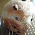 さなっちょ's cooksnap of when they made HBおまかせ☆ヨーグルトレーズンパン.