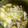 はるぴょん＆メイ＊'s cooksnap of when they made 懐かしい♪すき焼き風丼.