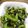 sunyalbany's cooksnap of when they made ピーマンのごま和え.