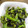 sunyalbany's cooksnap of when they made ピーマンのごま和え.