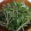 ♬あじさいのレシピ♬'s cooksnap of when they made 水菜とツナの塩昆布おつまみサラダ.