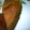 ぽしゅぴ's cooksnap of when they made 簡単すぎる、かぼちゃの煮物♪.