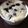 kanakonkon's cooksnap of when they made ホケミでレンジケーキ♪ダイエット中お菓子.