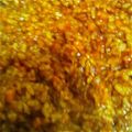 くびりん's cooksnap of when they made 簡単！カレーピラフ.