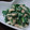 ＭＩＫＥちゃん's cooksnap of when they made ５分で簡単☆にらとツナのマヨぽん和え.