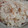 ともこ2011's cooksnap of when they made 桜エビの炊き込みご飯.
