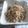 つぼみん's cooksnap of when they made 茄子とベーコンの卯の花.