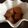SHION_MAMA's cooksnap of when they made 簡単☆大根とシーチキンの煮物.