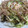 kaiko子's cooksnap of when they made お好み焼き風ご飯.