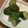 モンブランコ's cooksnap of when they made 中華風キュウリのお漬物.