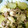 twinsのまま's cooksnap of when they made ルクエ☆豚バラと野菜蒸し〜ガリマヨで〜.