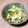 あず7225's cooksnap of when they made キャベツと鶏胸肉のモリモリおかずサラダ.