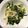 はなかんむり's cooksnap of when they made ほうれん草とブナピーのおひたし.