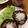 ルぴあ's cooksnap of when they made 塩麹豆腐でおろしポン酢ハンバーグ.