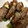 yukabocha's cooksnap of when they made しし唐のチーズ巻き焼き.