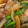 samaco's cooksnap of when they made 照り旨☆豚カルビと新玉ねぎとニラの炒め物.