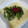 Satomih23's cooksnap of when they made わらびのとろろ仕立て.