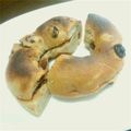 亜久里's cooksnap of when they made 冷凍ベーグルをすぐ食べる方法.