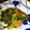 まるやまいろは's cooksnap of when they made 大根葉とこえびのふりかけ.
