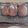ユリパン's cooksnap of when they made 自家製酵母でふわっとパン.