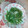 あざらしの赤ちゃん's cooksnap of when they made 我が家の中華✿さやえんどうの炒め.