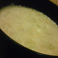 たもたん's cooksnap of when they made 卵白消費に☆とろとろ～なお味噌汁.