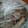 まるぽん07's cooksnap of when they made 塩豚のさらしネギ添え.