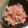 あつだ's cooksnap of when they made トマトとミョウガの味噌ナムル.