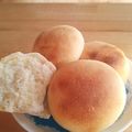 なおなお１０２２'s cooksnap of when they made 【自家製酵母】ノンオイルミルクブレッド♪.