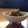 春風とギター's cooksnap of when they made 簡単☆豆苗と人参の彩りごま和え☆.