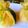 ＊pika's cooksnap of when they made ひな祭りに　簡単かわいい茶巾ごはん.