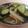 lucey☆girl's cooksnap of when they made きゅうりのバジル炒め.
