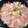 yk_b1's cooksnap of when they made 簡単フライパンで和風パエリア♪.