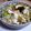 お楽しみのさなぎ's cooksnap of when they made キャベツのミョウガ漬け.