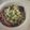 ｺｱﾗ's cooksnap of when they made お蕎麦みそ汁。.